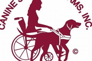 Pro Canine Support Teams Inc. Training | My Caring Dog – Tips, Stories, and Care Guides for Loving Pet Owners