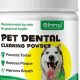 Essential Dog Oral Care Tips & Tricks | My Caring Dog – Tips, Stories, and Care Guides for Loving Pet Owners