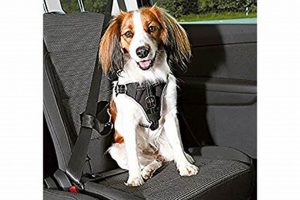 Best Trixie Dog Protect Car Harness for Safe Travels | My Caring Dog – Tips, Stories, and Care Guides for Loving Pet Owners