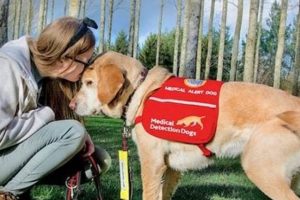 Best Medical Alert Dogs For Cars: A Guide | My Caring Dog – Tips, Stories, and Care Guides for Loving Pet Owners