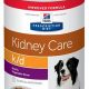 Best Kidney Care Canned Dog Food for Renal Health | My Caring Dog – Tips, Stories, and Care Guides for Loving Pet Owners