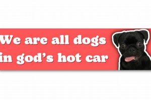 We Are All Dogs In God's Hot Car Patch | My Caring Dog – Tips, Stories, and Care Guides for Loving Pet Owners