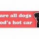 We Are All Dogs In God's Hot Car Patch | My Caring Dog – Tips, Stories, and Care Guides for Loving Pet Owners