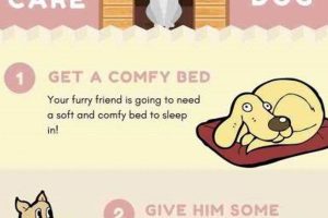 First Dog Care Guide: Tips & Tricks for New Owners | My Caring Dog – Tips, Stories, and Care Guides for Loving Pet Owners