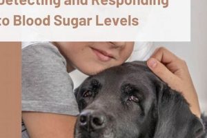Diabetic Alert Dog Grants: Financial Aid Guide | My Caring Dog – Tips, Stories, and Care Guides for Loving Pet Owners