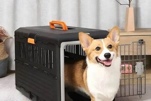 Small Dog Cage For Car | My Caring Dog – Tips, Stories, and Care Guides for Loving Pet Owners