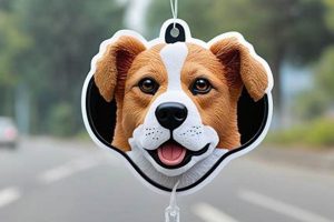 Best Dog Air Fresheners For Your Car: Top Picks | My Caring Dog – Tips, Stories, and Care Guides for Loving Pet Owners