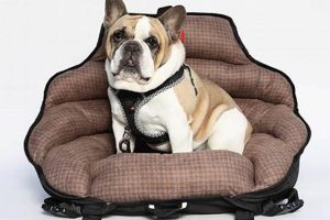 Top Crash Tested Dog Car Seats for Safe Travels | My Caring Dog – Tips, Stories, and Care Guides for Loving Pet Owners