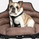 Top Crash Tested Dog Car Seats for Safe Travels | My Caring Dog – Tips, Stories, and Care Guides for Loving Pet Owners