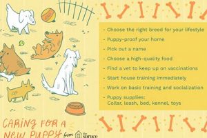 Ultimate Dog & Puppy Care Guide: Tips & Tricks | My Caring Dog – Tips, Stories, and Care Guides for Loving Pet Owners