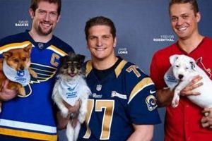 Best STL Humane Society for Car Dogs | My Caring Dog – Tips, Stories, and Care Guides for Loving Pet Owners