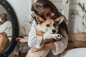 Cost Of Taking Care Of A Dog | My Caring Dog – Tips, Stories, and Care Guides for Loving Pet Owners