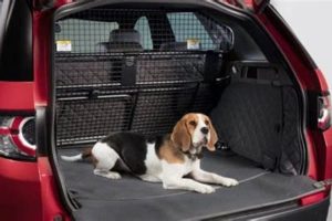 How To Keep Dogs Cool In A Car | My Caring Dog – Tips, Stories, and Care Guides for Loving Pet Owners