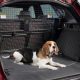 How To Keep Dogs Cool In A Car | My Caring Dog – Tips, Stories, and Care Guides for Loving Pet Owners
