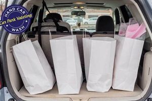 Best Dog Hair Removal Hacks For Your Car | My Caring Dog – Tips, Stories, and Care Guides for Loving Pet Owners