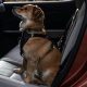 Best Extra Small Dog Car Harnesses for Safe Travels | My Caring Dog – Tips, Stories, and Care Guides for Loving Pet Owners