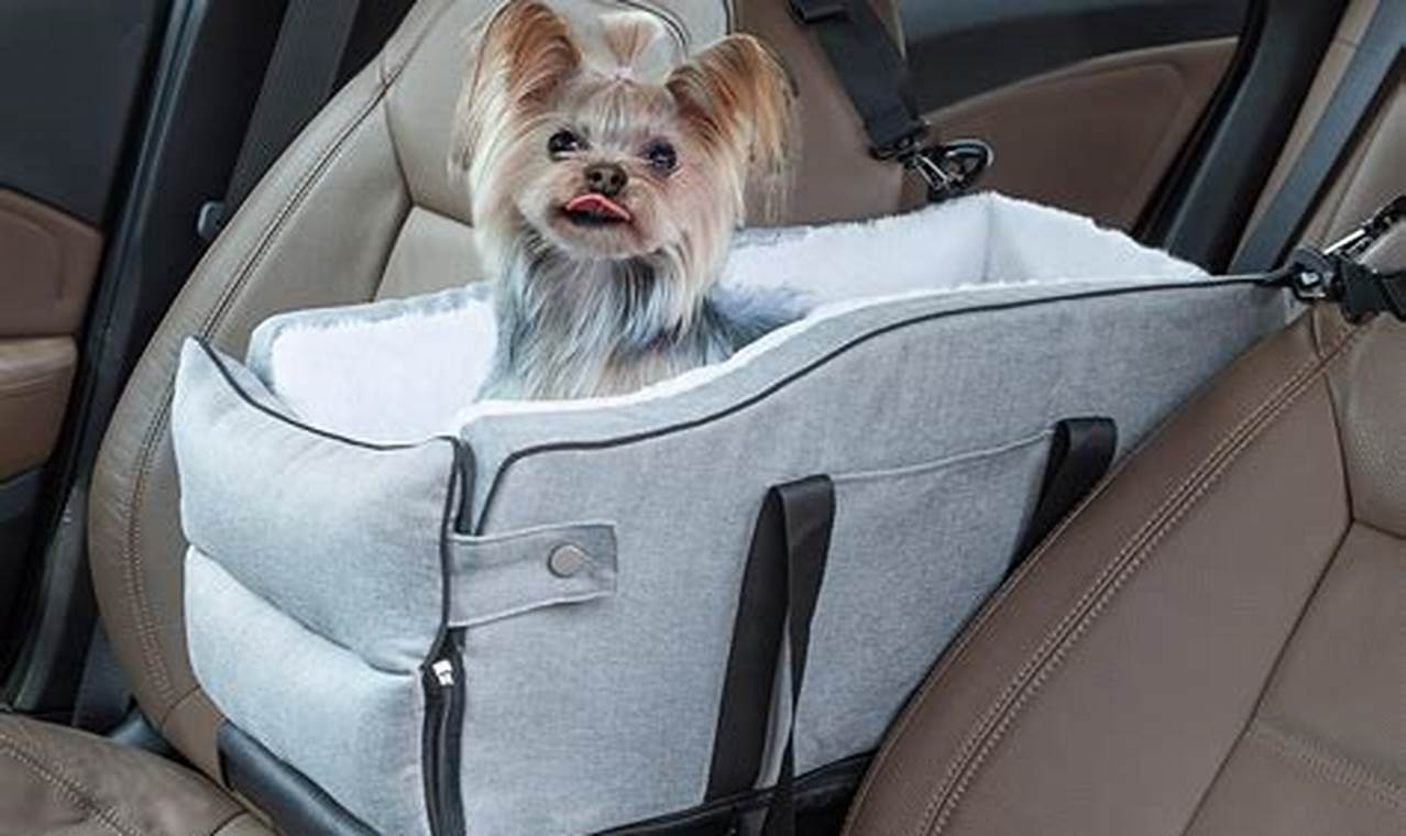 Top Dog Car Seat Box: Safe & Secure | My Caring Dog – Tips, Stories, and Care Guides for Loving Pet Owners