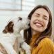 Happy People with Loyal Dogs: Car Travel Tips | My Caring Dog – Tips, Stories, and Care Guides for Loving Pet Owners