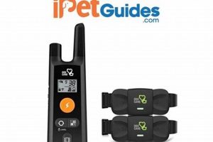 Best Dog Care Collars: Top Picks & Guide | My Caring Dog – Tips, Stories, and Care Guides for Loving Pet Owners