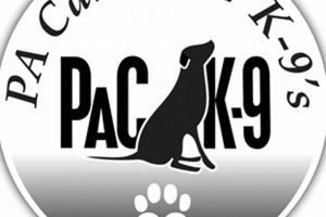 Expert PA Canine Care for Your Car Dog | My Caring Dog – Tips, Stories, and Care Guides for Loving Pet Owners