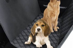 Backseat Car Covers For Dogs | My Caring Dog – Tips, Stories, and Care Guides for Loving Pet Owners