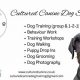 Car Dog Canine Agency: Ultimate Guide | My Caring Dog – Tips, Stories, and Care Guides for Loving Pet Owners