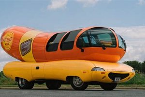 Hot Dog Car Rental | My Caring Dog – Tips, Stories, and Care Guides for Loving Pet Owners