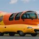 Hot Dog Car Rental | My Caring Dog – Tips, Stories, and Care Guides for Loving Pet Owners