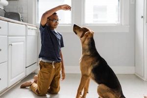 Professional Animals in Training: Dog Edition | My Caring Dog – Tips, Stories, and Care Guides for Loving Pet Owners