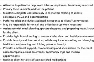 Best Companion Jobs for Car Dog Lovers | My Caring Dog – Tips, Stories, and Care Guides for Loving Pet Owners