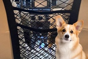 Best Dog Car Barriers: Safe & Secure Travel | My Caring Dog – Tips, Stories, and Care Guides for Loving Pet Owners