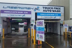 The Purple Octopus: Car & Dog Wash | My Caring Dog – Tips, Stories, and Care Guides for Loving Pet Owners