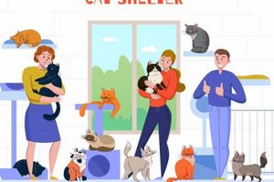 Best Chicago Cat Shelters: Adopt a Furry Friend | My Caring Dog – Tips, Stories, and Care Guides for Loving Pet Owners