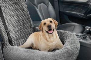 Top 5 Best Medium Dog Car Seats for Safe Travels | My Caring Dog – Tips, Stories, and Care Guides for Loving Pet Owners