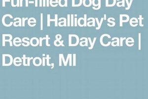 Best Dog Day Care in Detroit: Top Centers | My Caring Dog – Tips, Stories, and Care Guides for Loving Pet Owners
