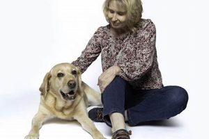Our Companions Dog Training | My Caring Dog – Tips, Stories, and Care Guides for Loving Pet Owners