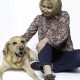 Our Companions Dog Training | My Caring Dog – Tips, Stories, and Care Guides for Loving Pet Owners