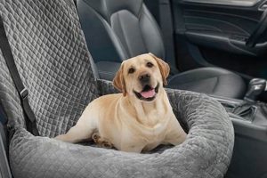 Best Comfy Dog Car Seats for Safe Travels | My Caring Dog – Tips, Stories, and Care Guides for Loving Pet Owners