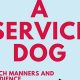 Where To Train A Service Dog | My Caring Dog – Tips, Stories, and Care Guides for Loving Pet Owners