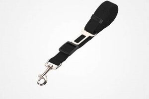 Best Big Dog Car Seat Belts: Safe & Secure | My Caring Dog – Tips, Stories, and Care Guides for Loving Pet Owners