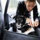Dog Afraid Of Car Rides | My Caring Dog – Tips, Stories, and Care Guides for Loving Pet Owners