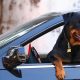 Easy Dog Car Entry Training Guide | My Caring Dog – Tips, Stories, and Care Guides for Loving Pet Owners