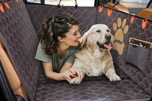 Best Dog Car Seat Covers For Coupes: Top Picks | My Caring Dog – Tips, Stories, and Care Guides for Loving Pet Owners