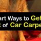 Easy Ways to Remove Dog Hair from Car Carpet | My Caring Dog – Tips, Stories, and Care Guides for Loving Pet Owners