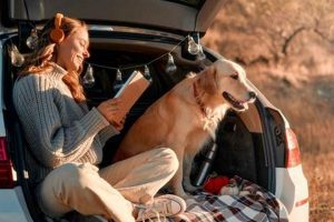 Ultimate Guide to Car Camping With Dogs: Tips & Tricks My Caring Dog – Tips, Stories, and Care Guides for Loving Pet Owners Ultimate Guide to Car Camping With Dogs: Tips & Tricks | My Caring Dog – Tips, Stories, and Care Guides for Loving Pet Owners