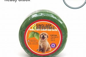 Sep Dog | My Caring Dog – Tips, Stories, and Care Guides for Loving Pet Owners