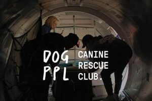 Top Canine Rescue Clubs: Find Your Car Dog My Caring Dog – Tips, Stories, and Care Guides for Loving Pet Owners Top Canine Rescue Clubs: Find Your Car Dog | My Caring Dog – Tips, Stories, and Care Guides for Loving Pet Owners