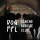 Top Canine Rescue Clubs: Find Your Car Dog | My Caring Dog – Tips, Stories, and Care Guides for Loving Pet Owners