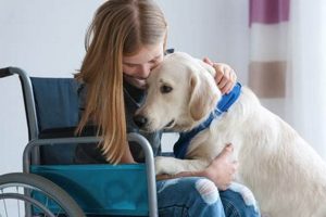 The Healing Power of Pet Dogs: Companions & Helpers My Caring Dog – Tips, Stories, and Care Guides for Loving Pet Owners The Healing Power of Pet Dogs: Companions & Helpers | My Caring Dog – Tips, Stories, and Care Guides for Loving Pet Owners