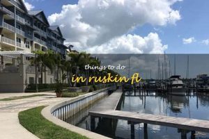 Top Care Inc. Ruskin FL Choices for Dog Care My Caring Dog – Tips, Stories, and Care Guides for Loving Pet Owners Top Care Inc. Ruskin FL Choices for Dog Care | My Caring Dog – Tips, Stories, and Care Guides for Loving Pet Owners